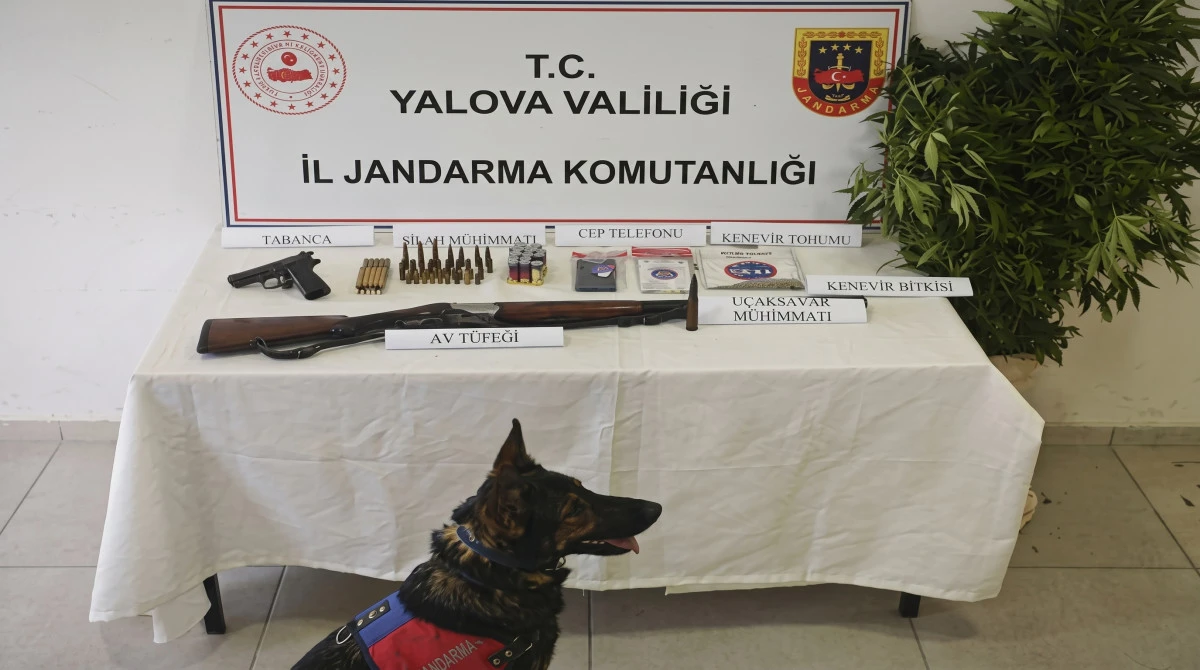 &Ccedil;İFTLİKK&Ouml;Y'DE UYUŞTURUCU VE M&Uuml;HİMMAT YAKALANDI