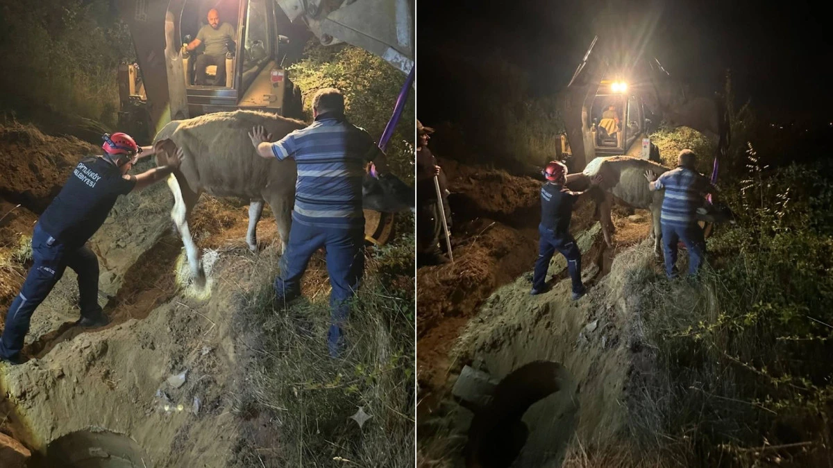 &Ccedil;UKURA D&Uuml;ŞEN İNEĞİ İTFAİYECİLER KURTARDI