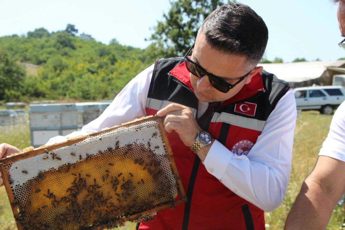 İLME&Ccedil; ARICILARIN SORUN VE TALEPLERİNİ DİNLEDİ