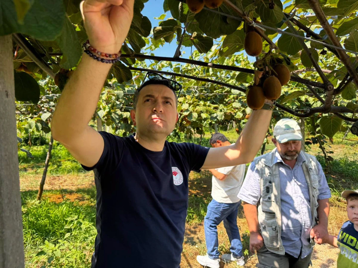 İLME&Ccedil; KOCADERE'DE İNCELEMELERDE BULUNDU