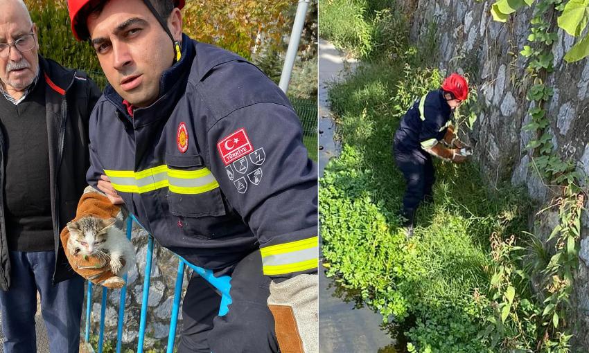 DERE YATAĞINA D&Uuml;ŞEN KEDİYİ İTFAİYE KURTARDI
