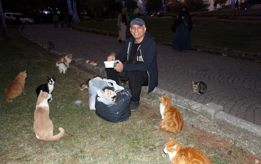 KEDİLERİ BESLEMEK İ&Ccedil;İN HAFTA DA 3 G&Uuml;N YALOVA'YA GELİYOR