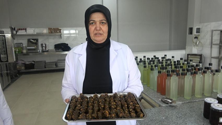 KİVİ SUCUĞU YALOVA&rsquo;NIN MARKALARI ARASINA GİRİYOR