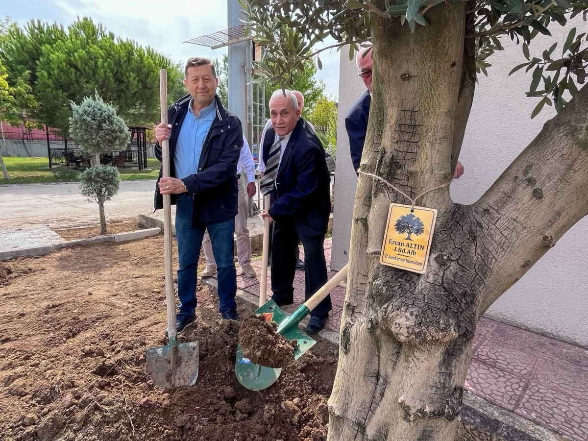 KONSİAD JANDARMA KOMUTANLIĞININ BAH&Ccedil;ESİNE ZEYTİN AĞACI DİKTİ