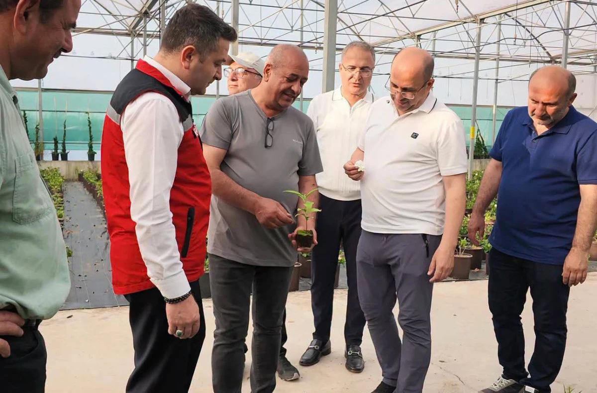 K&Uuml;MELEŞME MODELİ HAKKINDA BİLGİ ALDI