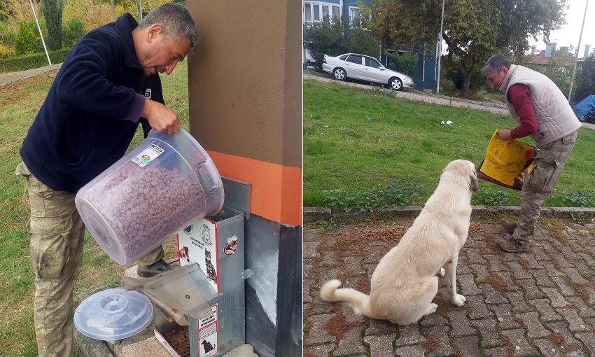 SUBAŞI&rsquo;DA SOKAK HAYVANLARI A&Ccedil; KALMIYOR