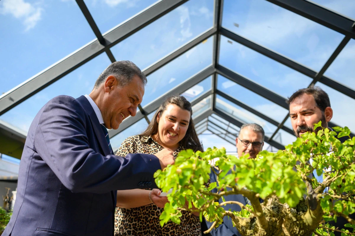 VALİ USTA BONSAİ M&Uuml;ZESİ'NDE MİNYAT&Uuml;R DUT HASADINA KATILDI