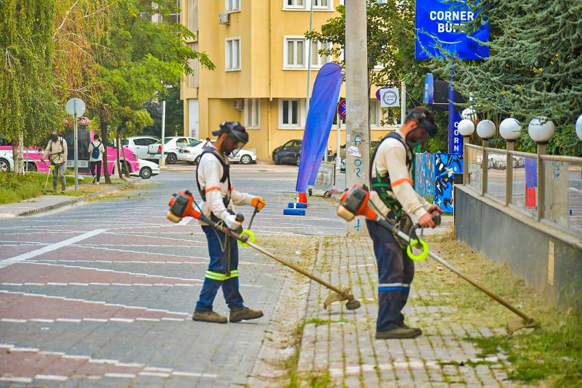 YABANİ OT TEMİZLEME &Ccedil;ALIŞMALARI DEVAM EDİYOR