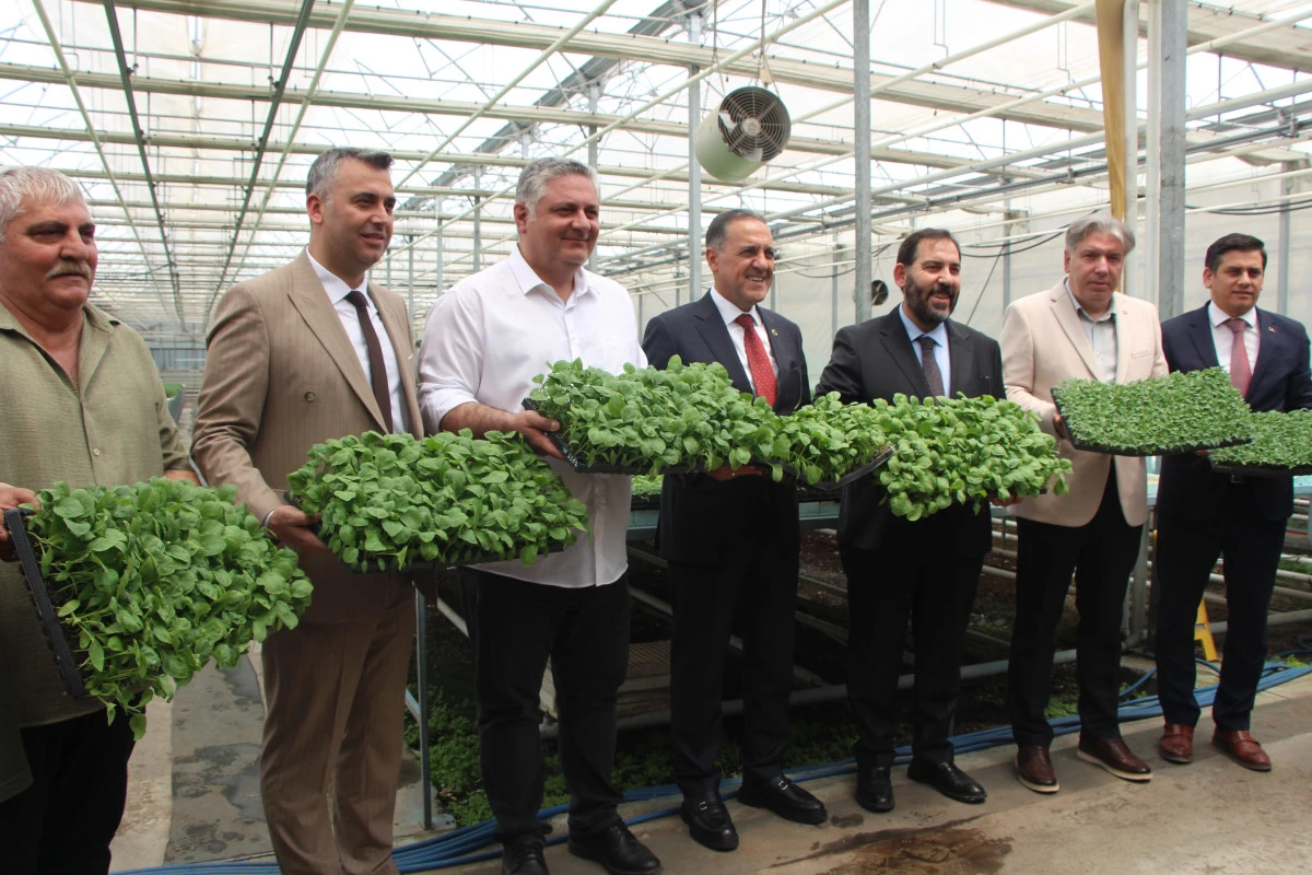 YALOVA&rsquo;DA &Ccedil;İFT&Ccedil;İLERE 950 BİN ADET FİDE DAĞITILDI