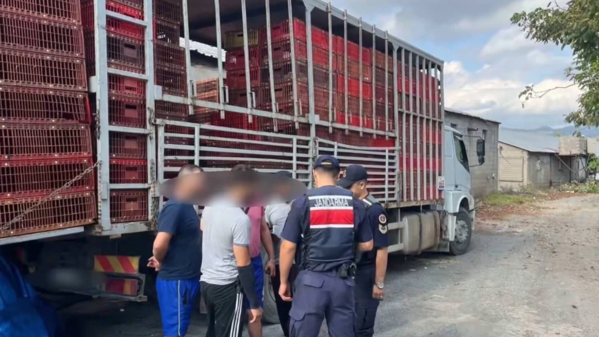 YALOVA'DA G&Ouml;&Ccedil;MEN KA&Ccedil;AK&Ccedil;ILIĞI OPERASYONU
