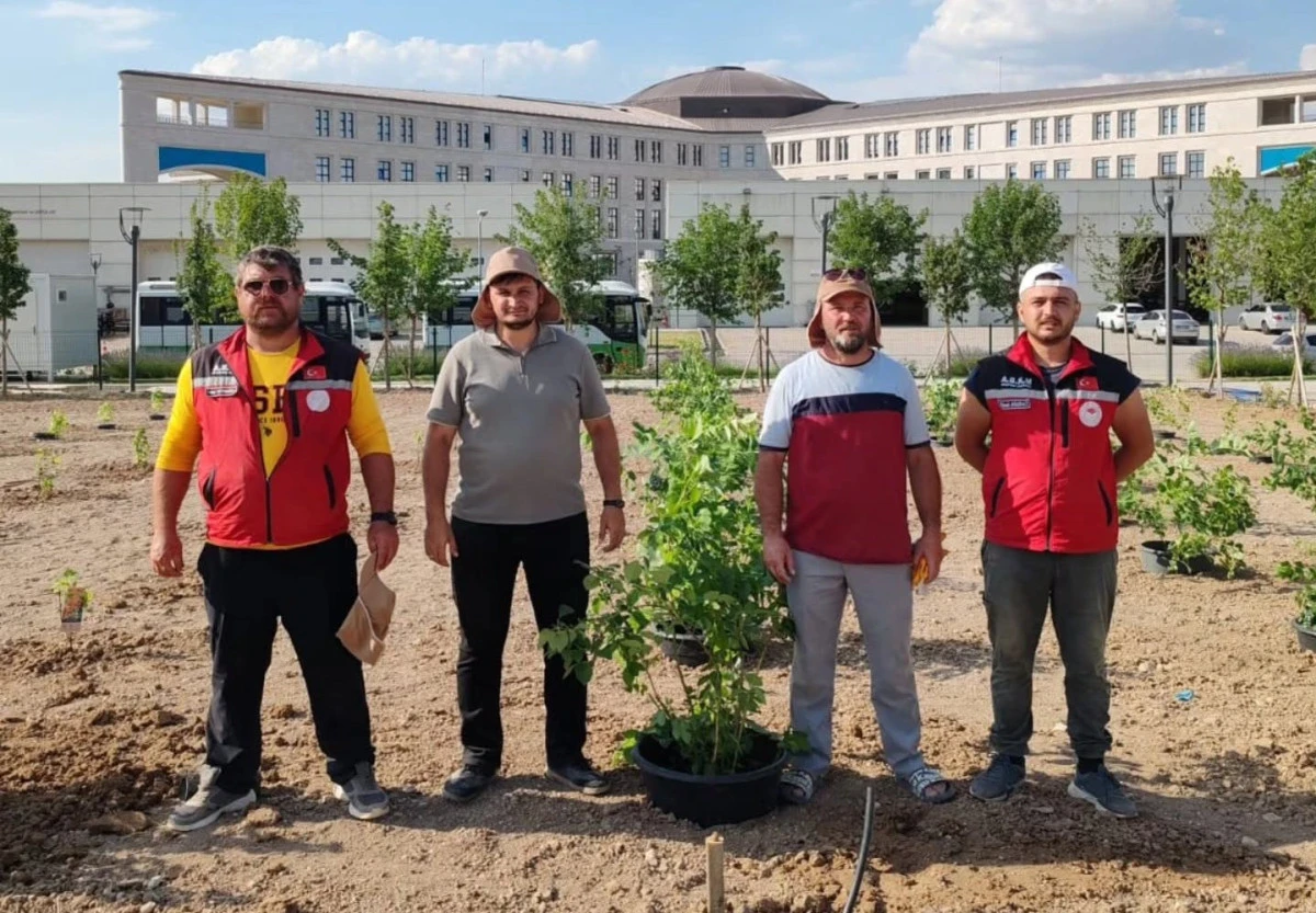 YALOVA'DA YETİŞTİRİLEN YERLİ G&Uuml;L VE MEYVELER MİLLİ BOTANİK BAH&Ccedil;ESİ'NDE