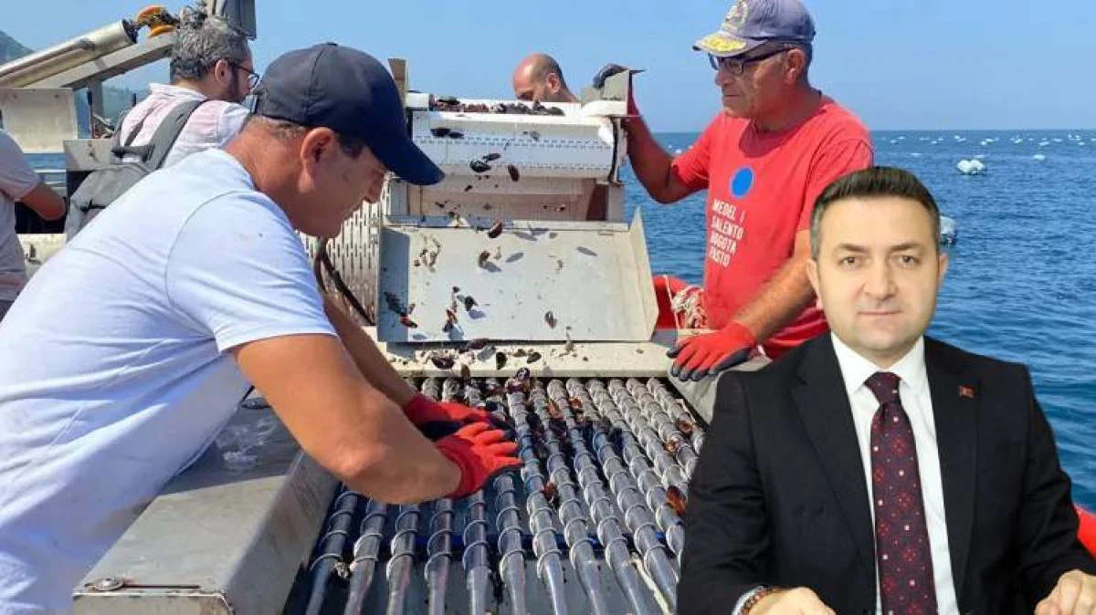 &ldquo;YALOVA&rsquo;NIN MİDYE ARITMA TESİSİNE İHTİYACI VAR&rdquo;