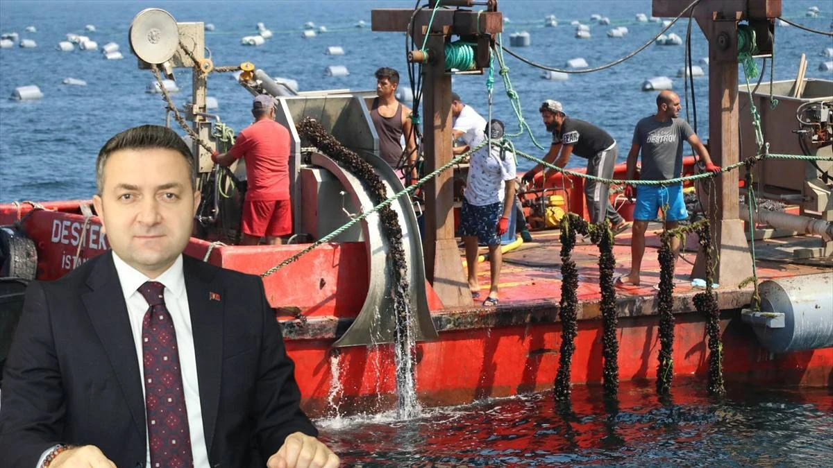 &ldquo;YALOVA&rsquo;NIN MİDYE ARITMA TESİSİNE İHTİYACI VAR&rdquo;