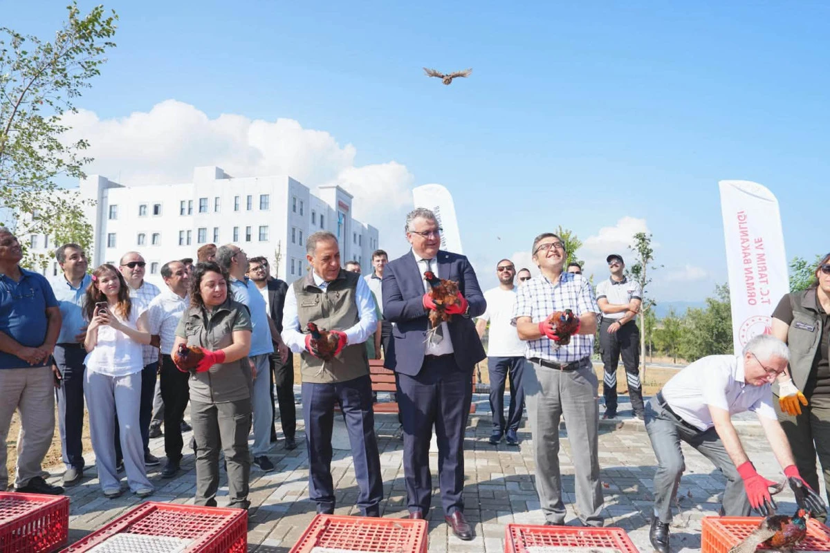 Y&Uuml;ZLERCE S&Uuml;L&Uuml;N DOĞAYA SALINDI