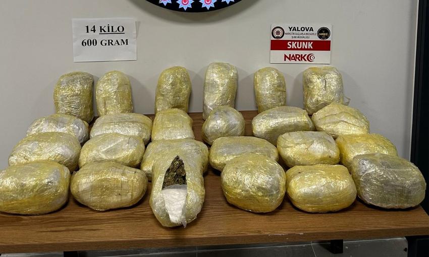14 KİLO 600 GRAM SKUNK ELE GEÇİRİLDİ