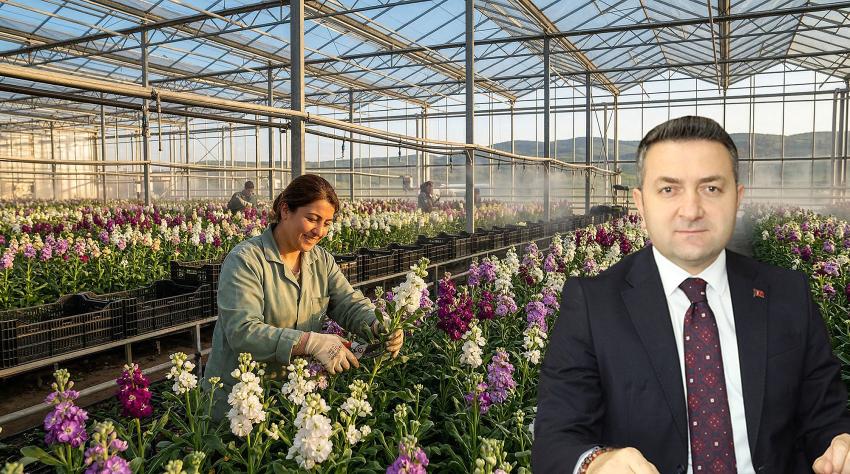 “5 BİN DEKARIN ÜZERİNDE ALANDA ÜRETİM YAPIYORUZ”