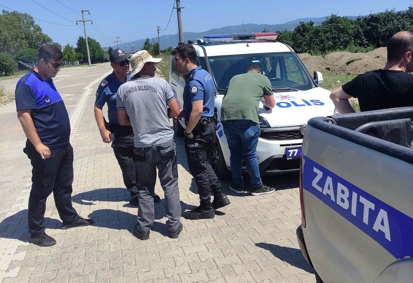 ALTINOVA’DA DENİZ BÖRÜLCESİ YAKALANDI