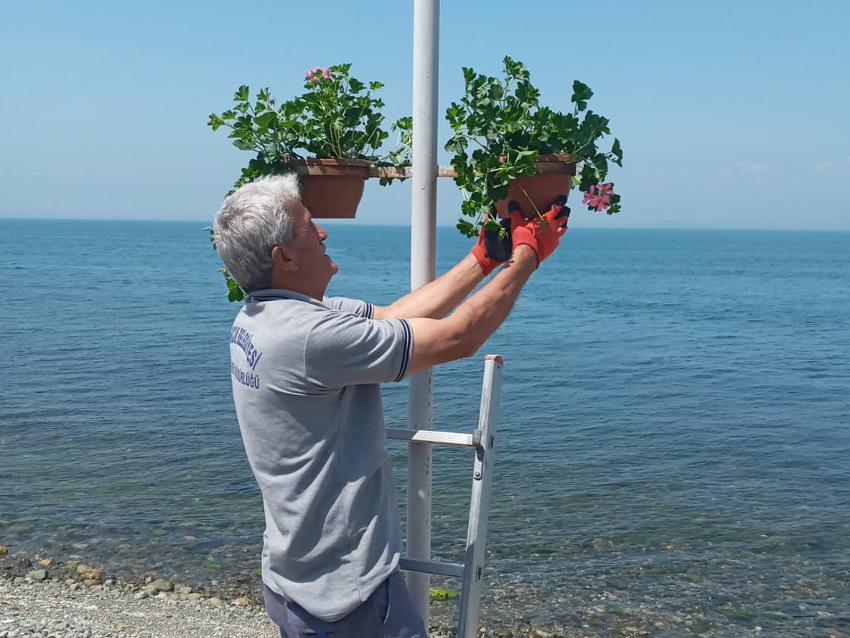 ÇINARCIK’TA SOKAK LAMBALARI ÇİÇEK AÇTI