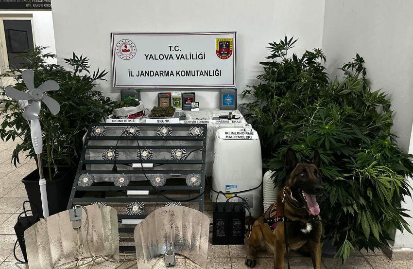 EVİNİ UYUŞTURUCU SERASINA ÇEVİRMİŞ