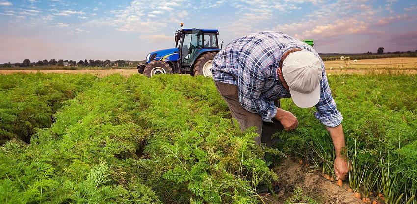 HİBELER YÜZDE 70'E KADAR YÜKSELTİLDİ