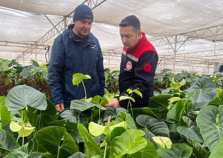 İLMEÇ ANTORYUM ÜRETİCİLERİNİN TALEPLERİNİ DİNLEDİ