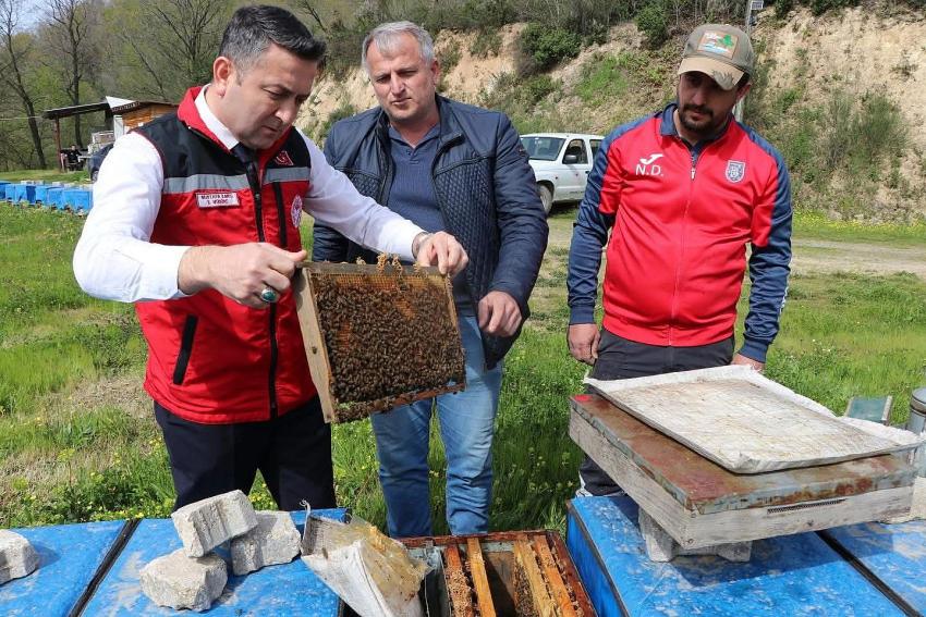 İLMEÇ ARICILARI ZİYARET ETTİ