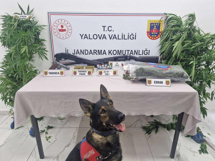 JANDARMADAN UYUŞTURUCU OPERASYONU