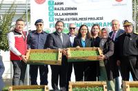 ÇİFTÇİLERE 428 BİN FİDE DAĞITILDI