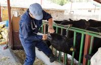 ÇİFTÇİNİN BELİNİ VETERİNER MASRAFLARI BÜKTÜ