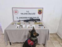 JANDARMADAN UYUŞTURUCU OPERASYONU