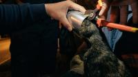 KAFASI MAMA KUTUSUNA SIKIŞAN KEDİYİ İTFAİYECİLER KURTARDI
