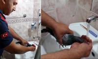 SUSUZ KALAN GÜVERCİNE ELLERİYLE SU İÇİRDİ