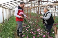 ŞEBBOY ÜRETİMİNDE TÜRKİYE BİRİNCİSİYİZ