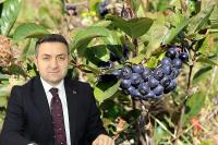 “ARONYA FESTİVALİ İL AÇISINDAN BÜYÜK ÖNEM TAŞIYOR”