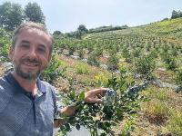 YILLIK 300 TON YABAN MERSİNİ REKOLTESİ HEDEFLENİYOR