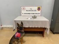 YALOVA’DA UYUŞTURUCU OPERASYONU: 1 TUTUKLAMA