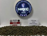 YALOVA'DA ZEHİR TACİRLERİNE GECE YARISI OPERASYONU