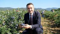 “YALOVA YABAN MERSİNİ ÜRETİMİNDE ÖNCÜ İL OLACAK”