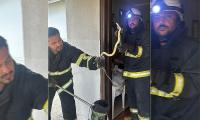 EVE GİREN YILAN PANİĞE NEDEN OLDU