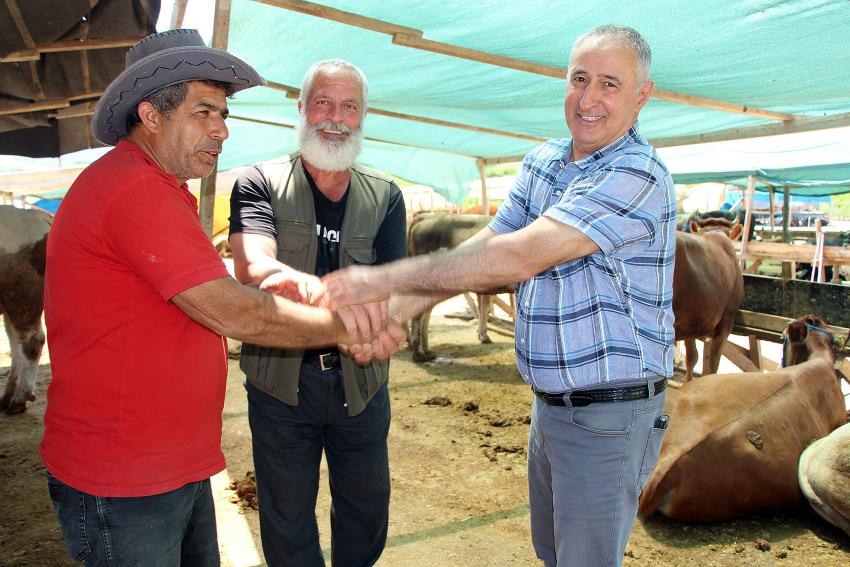 KURBANLARIN YÜZDE 80’İ SATILDI