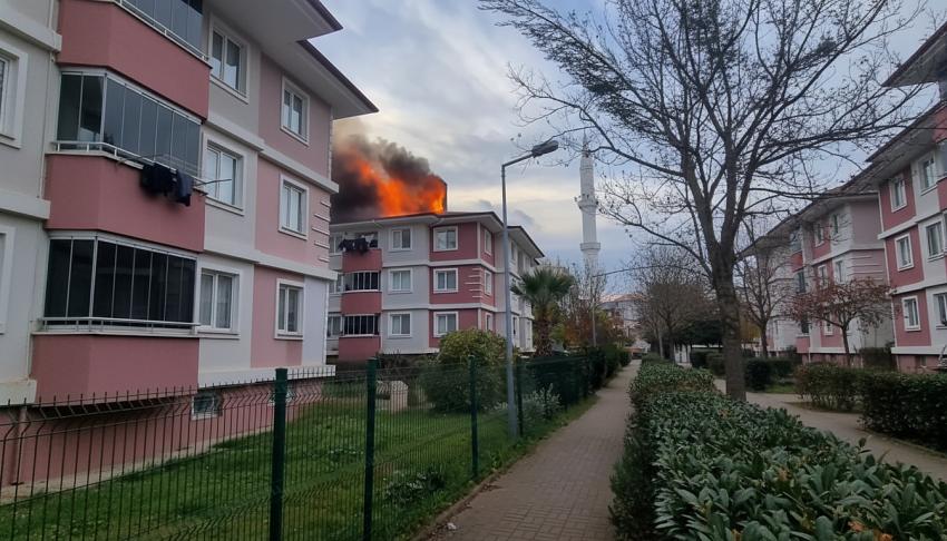 PAŞAKENT'TE YANGIN PANİĞİ