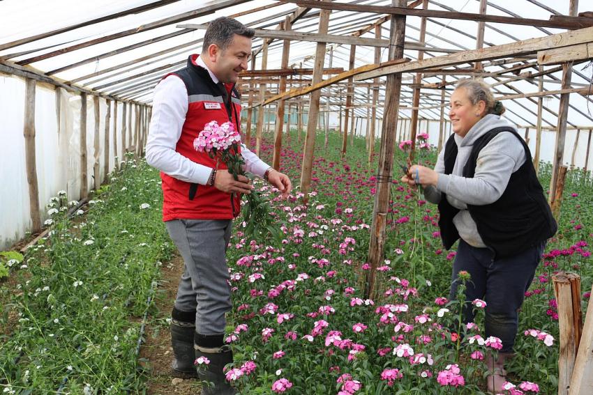 ŞEBBOY ÜRETİMİNDE TÜRKİYE BİRİNCİSİYİZ