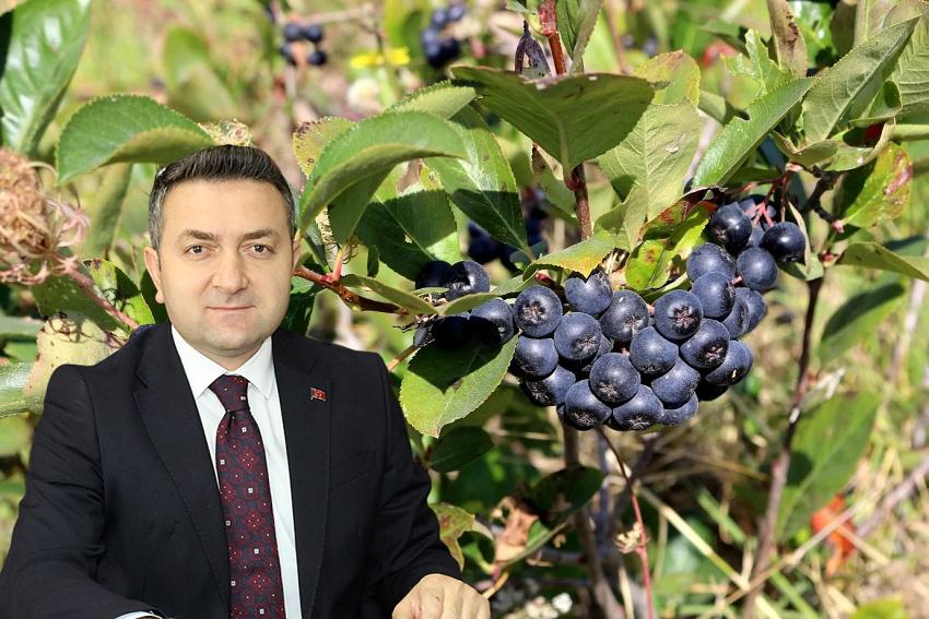 “ARONYA FESTİVALİ İL AÇISINDAN BÜYÜK ÖNEM TAŞIYOR”