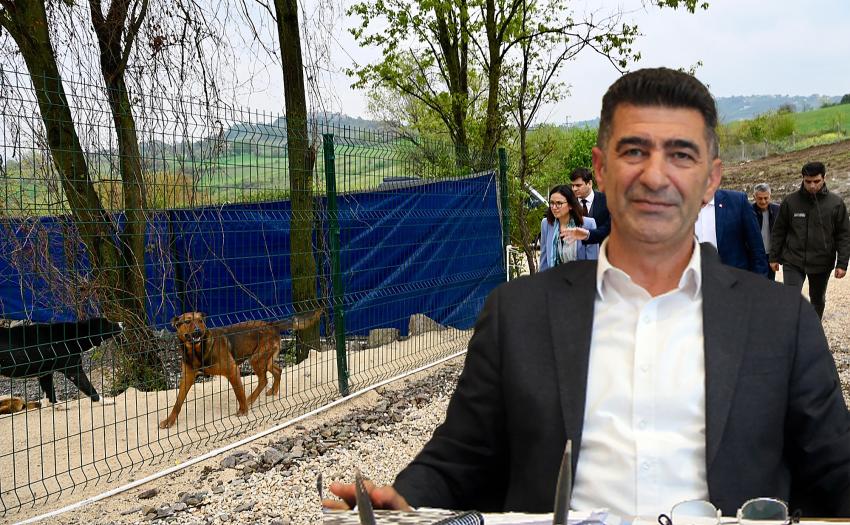 Kategori Haberleri