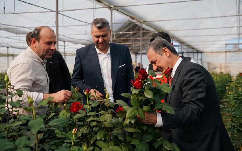 VALİ USTA KADIKÖY’DE GÜL HASADINA KATILDI