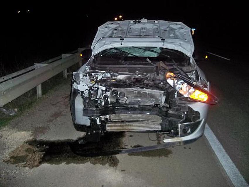 YALOVA’DA DOMUZA ÇARPAN ARAÇ KULLANILAMAZ HALE GELDİ