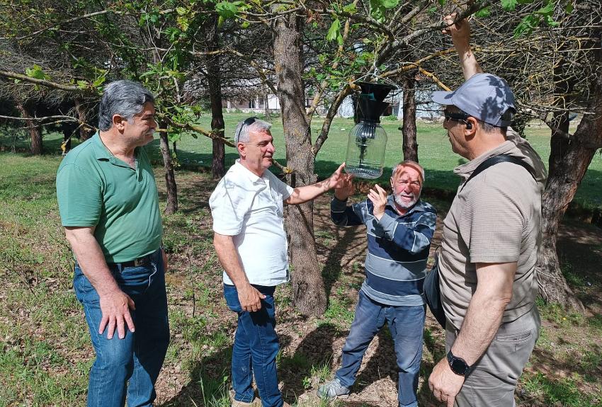 YALOVA’DA KAHVERENGİ KOKARCA İLE MÜCADELE SÜRÜYOR