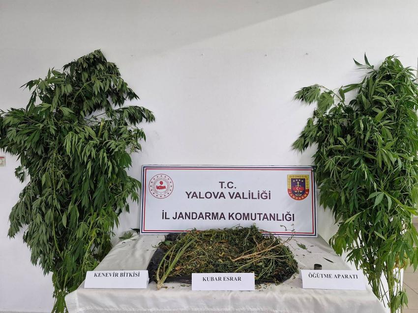 YALOVA'DA UYUŞTURUCU OPERASYONU