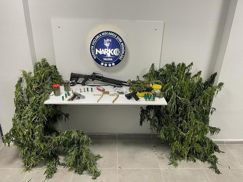 YALOVA’DA UYUŞTURUCU OPERASYONU