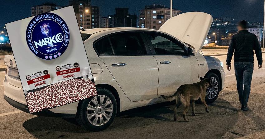 YALOVA’DA ZEHİR TACİRLERİNE DARBE